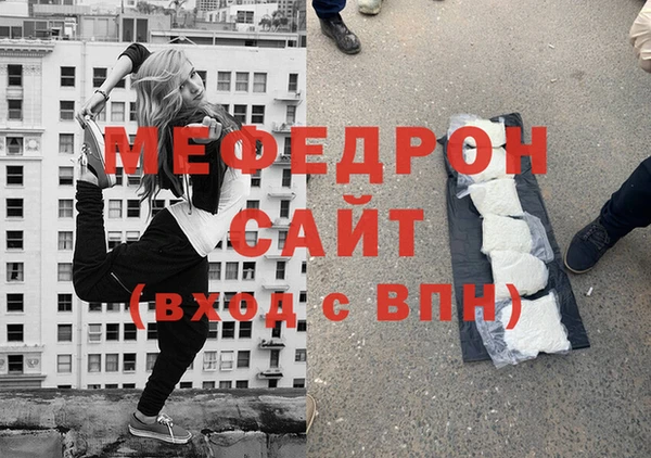 индика Ельня