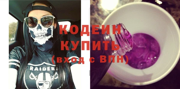 индика Ельня