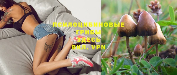 не бодяженный Алзамай