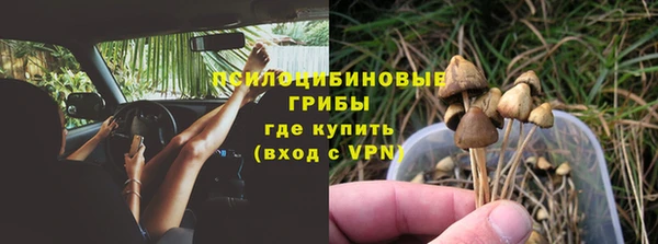 СК Абаза