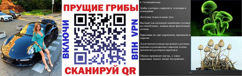 Галлюциногенные грибы мицелий  как найти закладки  Новочеркасск 